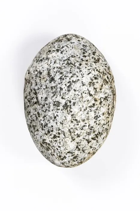 Framed Print : Boulder Print on White Background Framed Print : Boulder Print on White Background