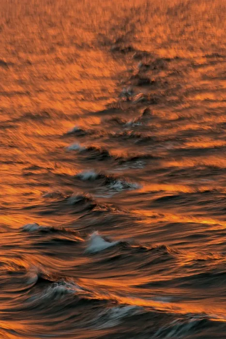 Framed Print : Bow Waves in Evening Light Print, Spitsbergen Island, Svalbard