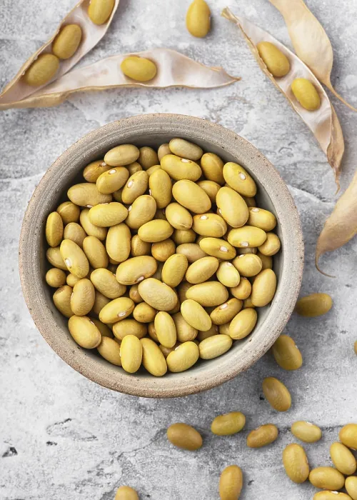 Framed Print : Mayocoba Bean Print on Rustic Background Framed Print : Mayocoba Bean Print on Rustic Background