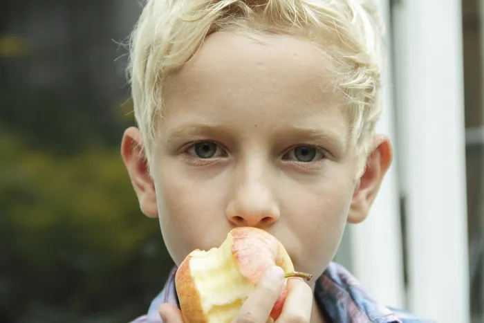 Framed Print : Boy Eating an Apple Print Framed Print : Boy Eating an Apple Print