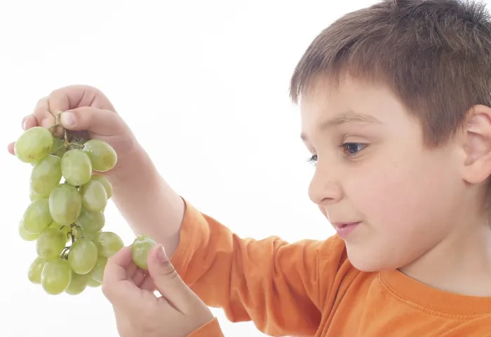 Framed Print : Boy Eats Grapes Print Framed Print : Boy Eats Grapes Print
