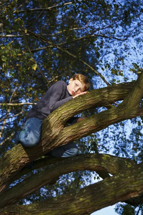 Framed Print : Boy Sitting on Tree Print, Wandersleben, Germany
