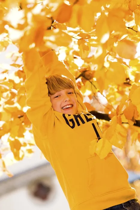 Framed Print : Boy on tree in autumn print Framed Print : Boy on tree in autumn print
