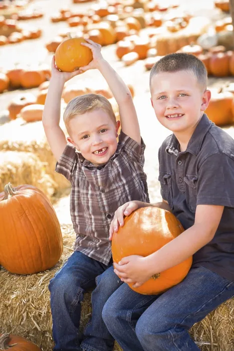 Framed Print : Two Boys at the Pumpkin Patch Print Framed Print : Two Boys at the Pumpkin Patch Print