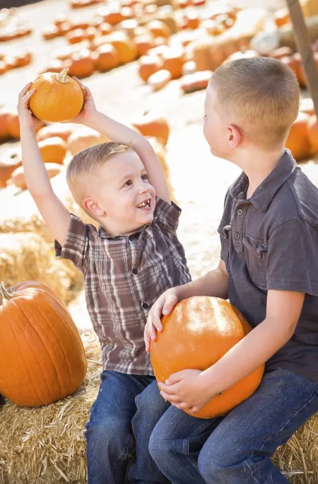 Framed Print : Two Boys at the Pumpkin Patch Print Framed Print : Two Boys at the Pumpkin Patch Print