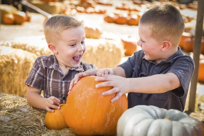 Framed Print : Two Boys at the Pumpkin Patch Print Framed Print : Two Boys at the Pumpkin Patch Print