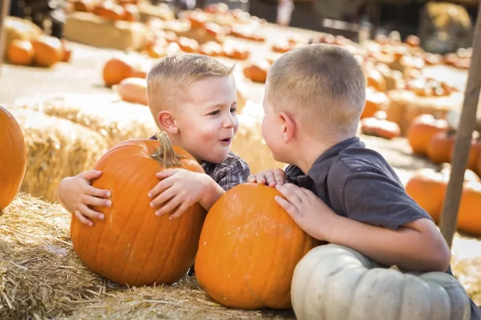 Framed Print : Two Boys at the Pumpkin Patch Print Framed Print : Two Boys at the Pumpkin Patch Print