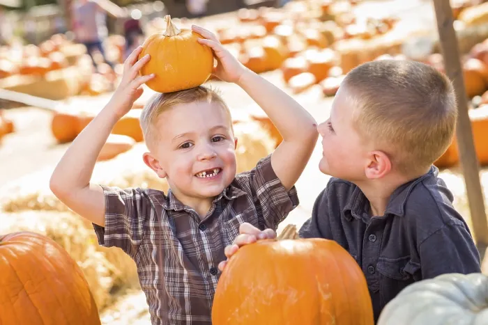 Framed Print : Two Boys Enjoying Pumpkins at the Patch Print Framed Print : Two Boys Enjoying Pumpkins at the Patch Print