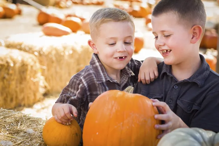 Framed Print : Two Boys at the Pumpkin Patch Print Framed Print : Two Boys at the Pumpkin Patch Print