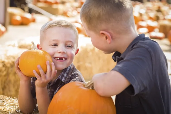 Framed Print : Two Boys at the Pumpkin Patch Print Framed Print : Two Boys at the Pumpkin Patch Print