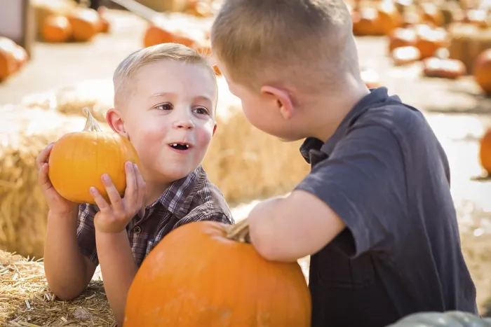 Framed Print : Two Boys at the Pumpkin Patch Print Framed Print : Two Boys at the Pumpkin Patch Print