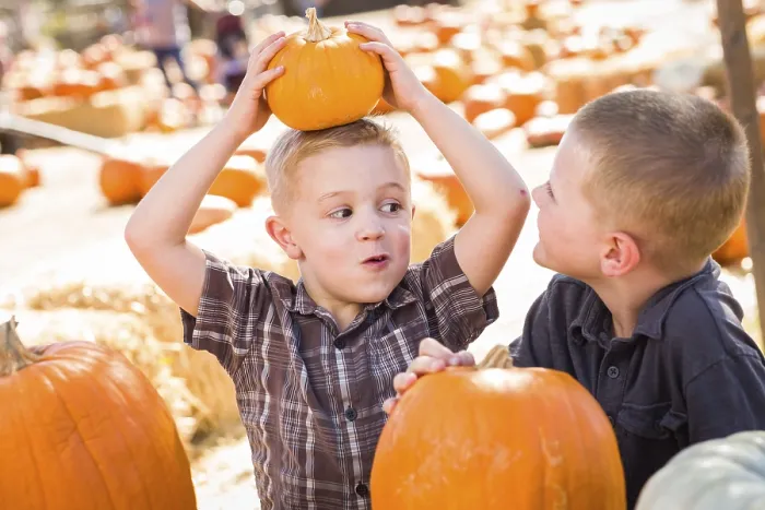 Framed Print : Two Boys at the Pumpkin Patch Print Framed Print : Two Boys at the Pumpkin Patch Print