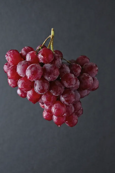 Framed Print : Branch of Big Red Grape Print Framed Print : Branch of Big Red Grape Print