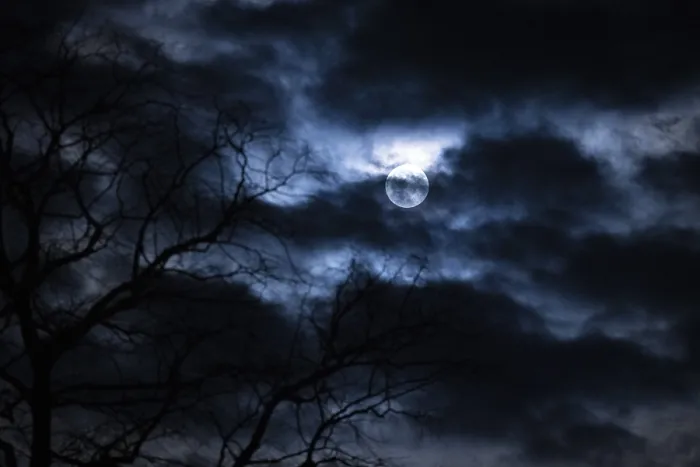 Framed Print : Branches and clouds in front of full moon Print, Ternitz, Austria Framed Print : Branches and clouds in front of full moon Print, Ternitz, Austria
