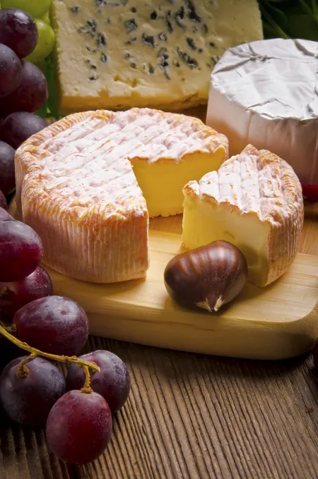 Framed Print : Brie Cheese Print Framed Print : Brie Cheese Print