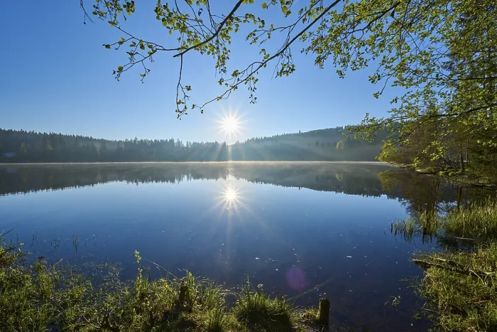 Framed Print : A Bright Sunrise Over Windgfllweiher Lake Print Framed Print : A Bright Sunrise Over Windgfllweiher Lake Print