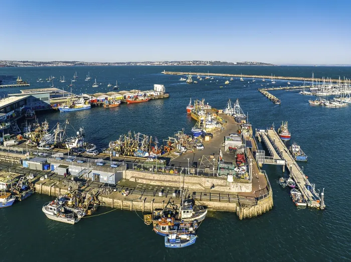 Framed Print : Brixham Harbour Print, Devon, England UK from a Drone Framed Print : Brixham Harbour Print, Devon, England UK from a Drone