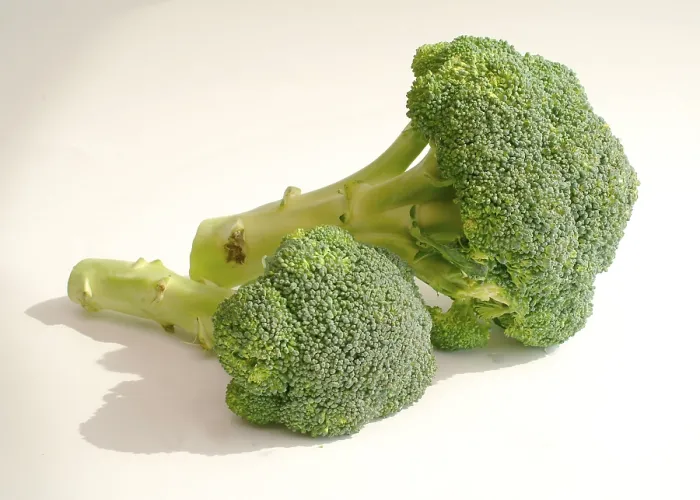 Framed Print : Broccoli Print by ImageBROKER Framed Print : Broccoli Print by ImageBROKER