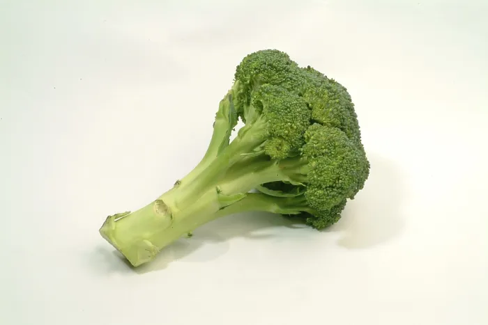 Framed Print : Broccoli Print by imageBROKER Framed Print : Broccoli Print by imageBROKER