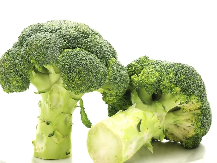 Framed Print : Broccoli Print: Standing and Laying Down on White