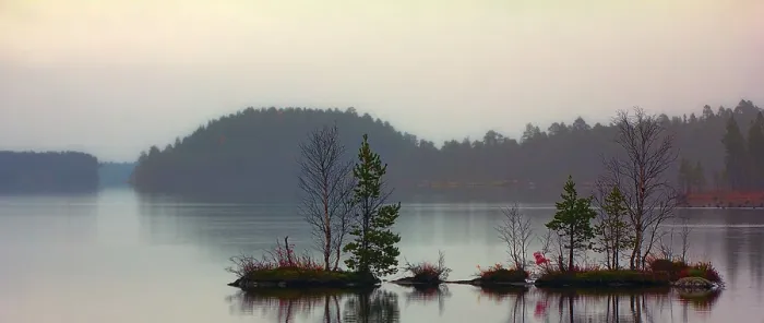 Framed Print : Brooding Landscape Print: Foggy Lake Scene Framed Print : Brooding Landscape Print: Foggy Lake Scene