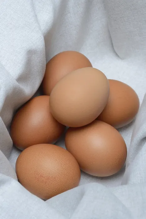 Framed Print : Brown Chicken Eggs Print Framed Print : Brown Chicken Eggs Print
