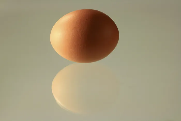 Framed Print : Brown Egg, Perfectly Shaped Print with Reflection Framed Print : Brown Egg, Perfectly Shaped Print with Reflection