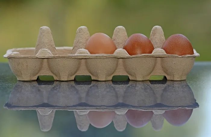 Framed Print : Three Brown Eggs in an Egg Carton Print Framed Print : Three Brown Eggs in an Egg Carton Print
