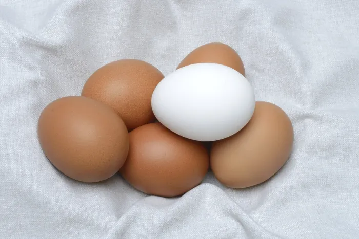 Framed Print : Brown and White Chicken Eggs Print Framed Print : Brown and White Chicken Eggs Print