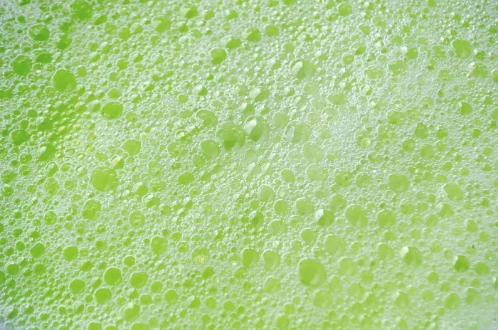 Framed Print : Bubbles Rising Through Thick Green Liquid Print Framed Print : Bubbles Rising Through Thick Green Liquid Print