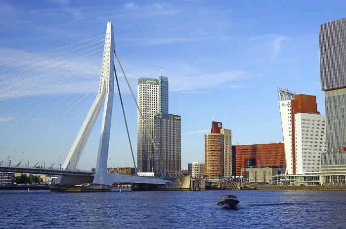 Framed Print : Erasmus Bridge Print, Rotterdam, Netherlands Framed Print : Erasmus Bridge Print, Rotterdam, Netherlands