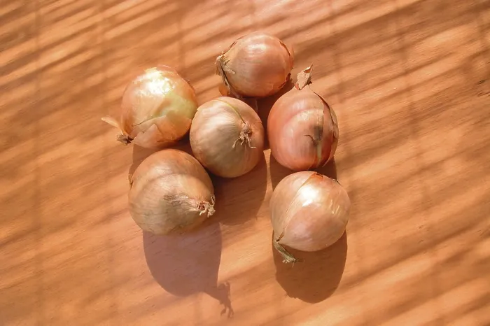 Framed Print : Onion Bulb Print Framed Print : Onion Bulb Print
