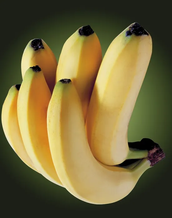 Framed Print : Bunch of Bananas Print Framed Print : Bunch of Bananas Print