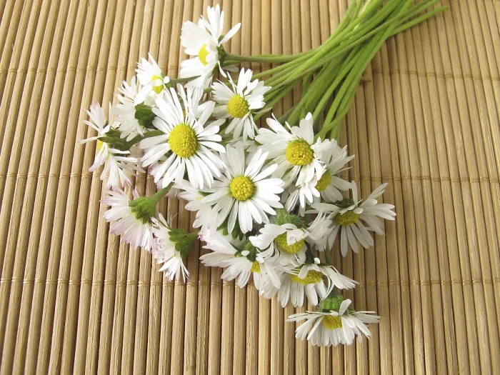 Framed Print : A Bunch of Daisies Print