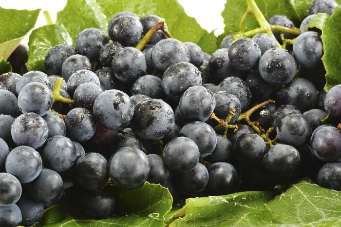 Framed Print : Fresh Red Grapes Print Framed Print : Fresh Red Grapes Print