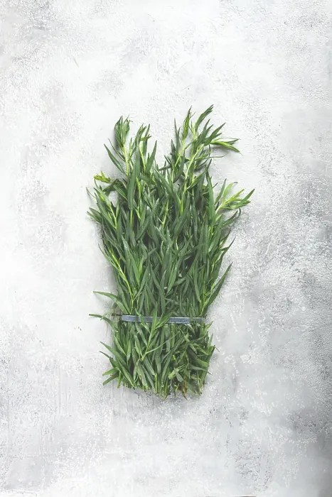 Framed Print : Fresh Tarragon Print - Top View Framed Print : Fresh Tarragon Print - Top View