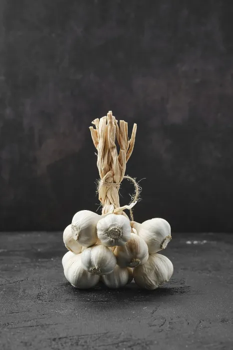 Framed Print : Dark Background Garlic Print Framed Print : Dark Background Garlic Print