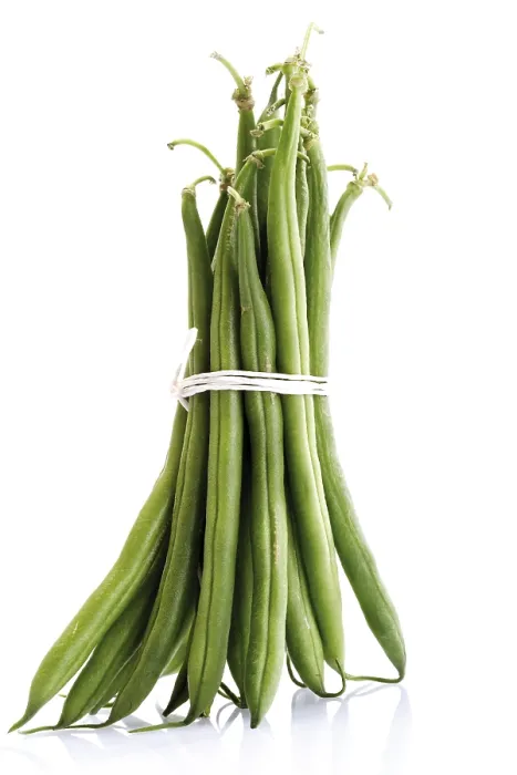 Framed Print : Green Bean Print Framed Print : Green Bean Print