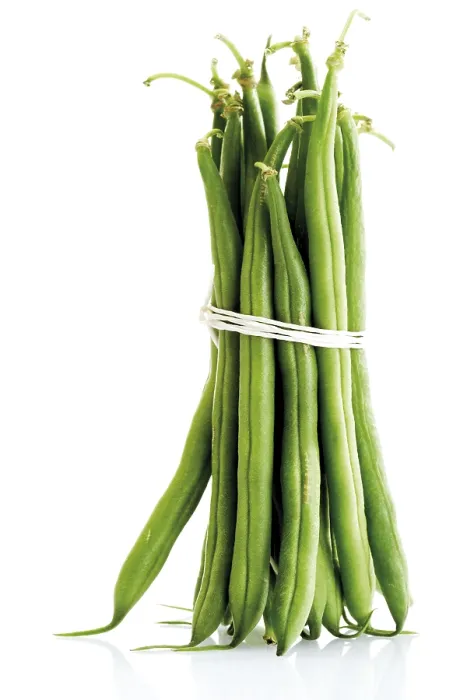 Framed Print : Green Bean Print - Phaseolus Framed Print : Green Bean Print - Phaseolus