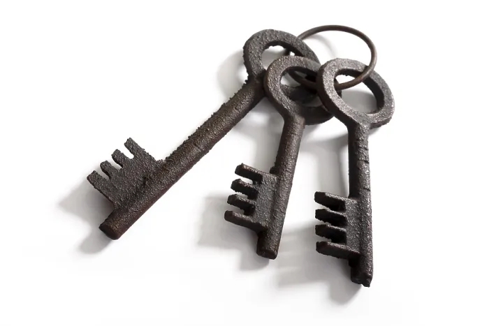 Framed Print : Bunch of Keys Print Framed Print : Bunch of Keys Print