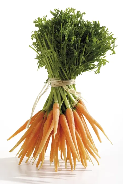 Framed Print : Mini Carrot Bunch Print Framed Print : Mini Carrot Bunch Print