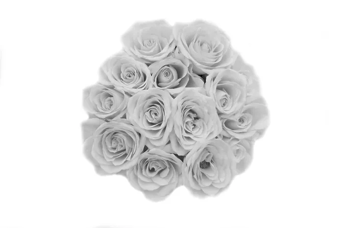 Framed Print : Bunch of Roses Print Framed Print : Bunch of Roses Print