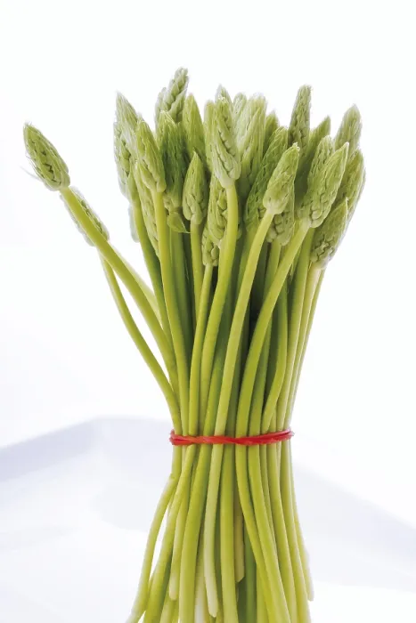 Framed Print : Wild Asparagus Print Framed Print : Wild Asparagus Print