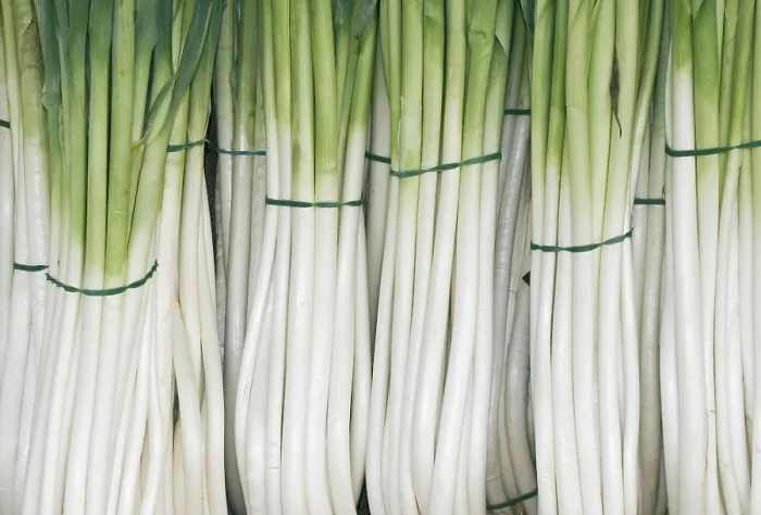 Framed Print : Bunches of Leeks or Spring Onions Print Framed Print : Bunches of Leeks or Spring Onions Print