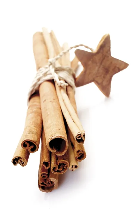 Framed Print : A Bundle of Cinnamon Sticks Print Framed Print : A Bundle of Cinnamon Sticks Print
