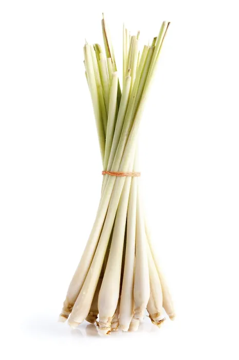 Framed Print : Fresh Lemon Grass Print on White Background Framed Print : Fresh Lemon Grass Print on White Background