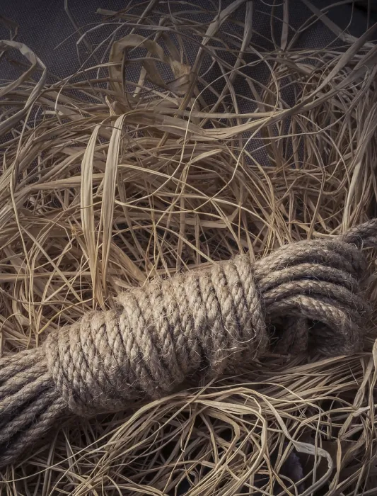 Framed Print : Linen Rope Bundle Print on Straw Background Framed Print : Linen Rope Bundle Print on Straw Background