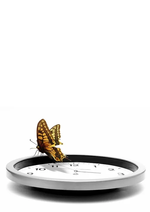 Framed Print : Butterfly Standing on a Clock Print