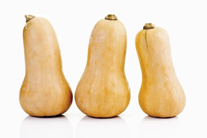 Framed Print : Butternut Squash Print Framed Print : Butternut Squash Print