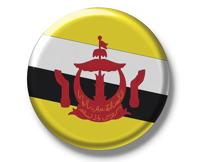 Framed Print : Brunei Flag Print Framed Print : Brunei Flag Print